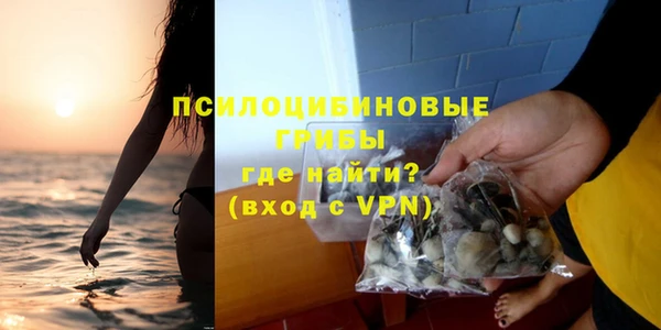 а пвп мука Абаза