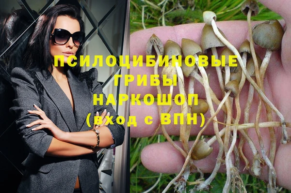 spice Алексеевка