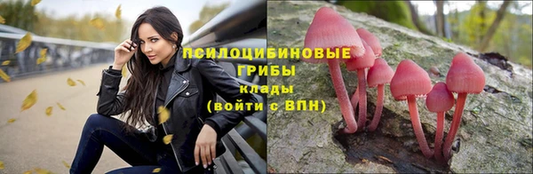 spice Алексеевка