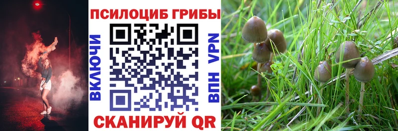 купить наркотики сайты  Ярославль  MEGA сайт  Галлюциногенные грибы прущие грибы 