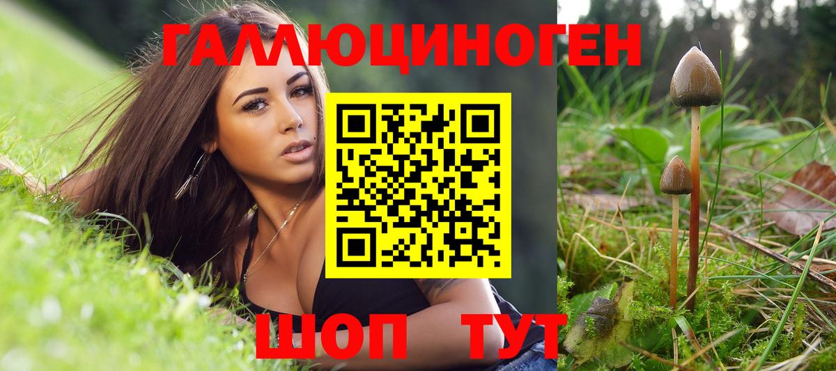 Псилоцибиновые грибы прущие грибы  Вход с VPN  Ярославль 